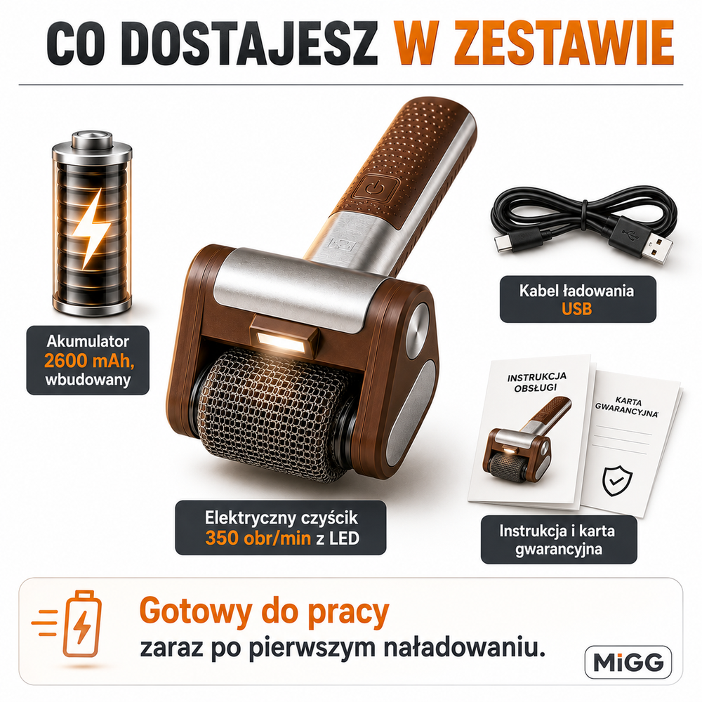 Elektryczny Czyścik do Grilla Bezprzewodowy Bez Drutu LED Stal Nierdzewna