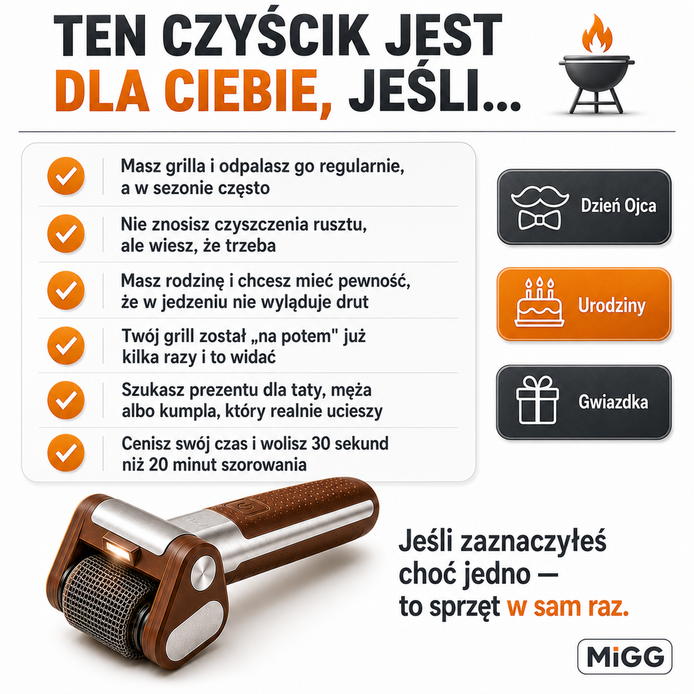 Elektryczny Czyścik do Grilla Bezprzewodowy Bez Drutu LED Stal Nierdzewna